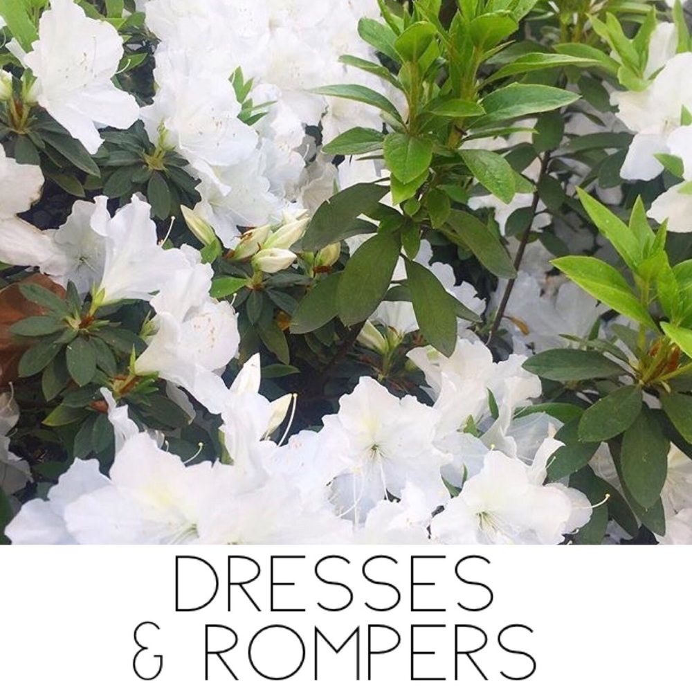 🌱DRESSES & ROMPERS🌱